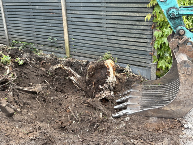 Tuin